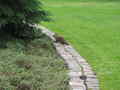 \[IMG_0784.JPG\]